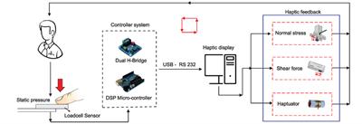 Comparing the Exteroceptive Feedback of Normal Stress, Skin Stretch, and Vibrotactile Stimulation for Restitution of Static Events